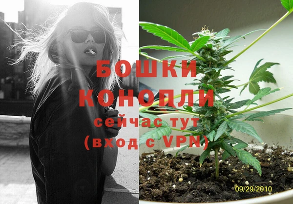 ECSTASY Снежногорск