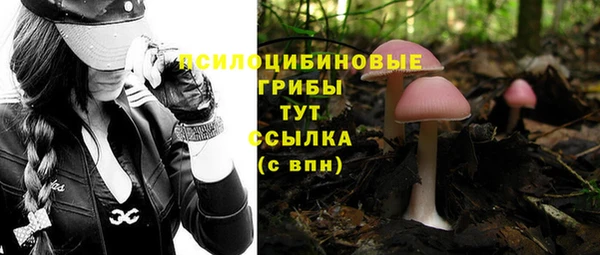 каннабис Абаза