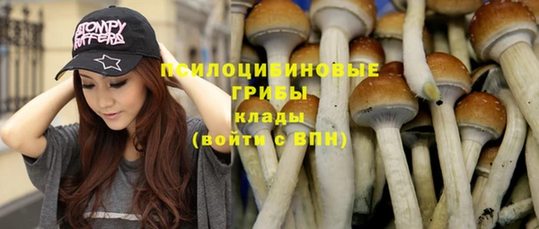 кокс Абдулино