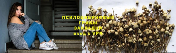 винт Алзамай