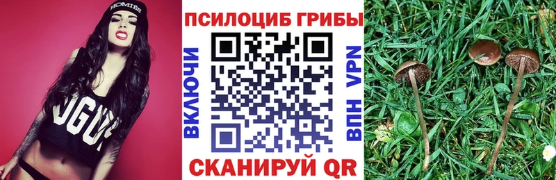 Псилоцибиновые грибы MAGIC MUSHROOMS Воткинск
