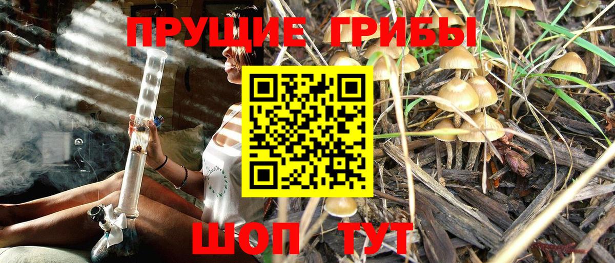 Галлюциногенные грибы прущие грибы Воткинск